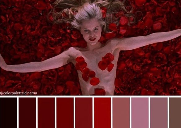 Color Palette Cinema American Beauty